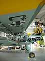 Fi 156 Storch (Side View)